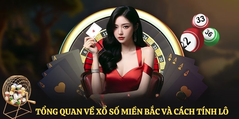 Tổng quan những nét chung nhất về xổ số miền Bắc và cách tính lô